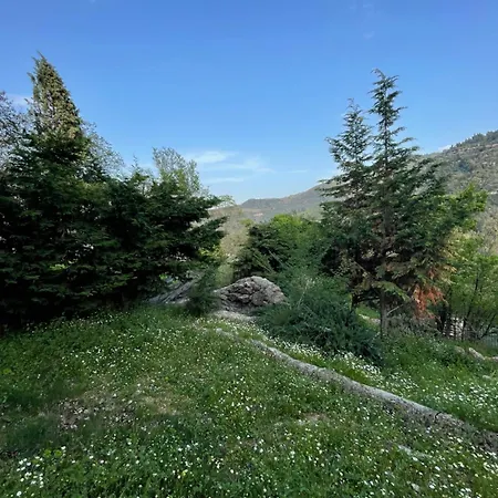 Daphne Retreat Kernitsa