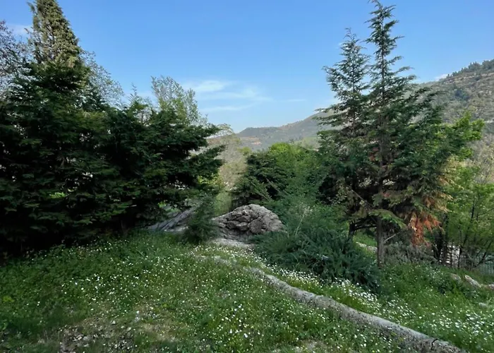 Daphne Retreat Kernitsa